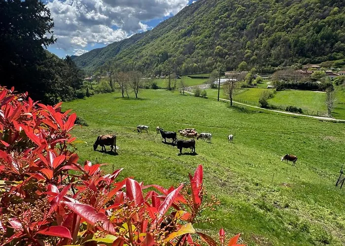 Apartament Valley View *
